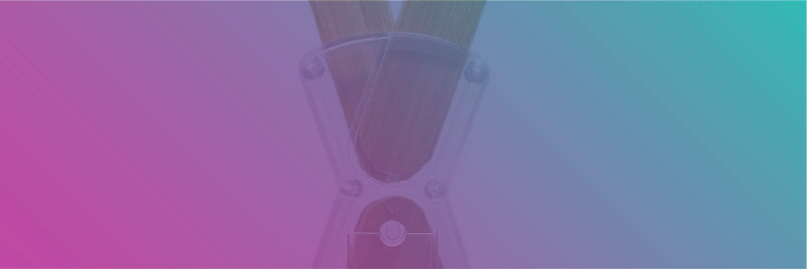 Bamboo X-Stand – The economical X-style bamboo banner stand